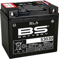 BS Batteries Motorcycle Battery - 53030 SLA Sealed Lead Acid