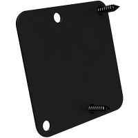 Denali 2.0 Dual Switch Mounting Plate