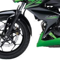 Pyramid Extenda Fenda - Kawasaki Ninja 300