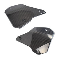 Pyramid Infill Panel Carbon Fibre- Yamaha MT-10 SP (22-)