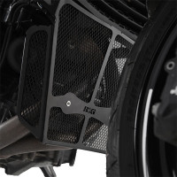 R&G Racing Downpipe Grille - BMW F900R