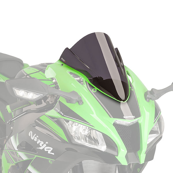 puig_screen_kawasaki_racing_m8912f.jpg