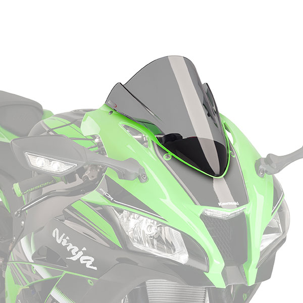 puig_screen_kawasaki_racing_m8912h.jpg