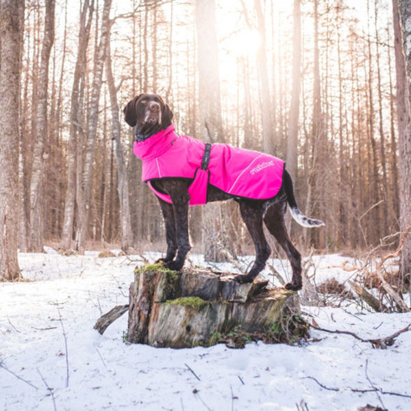 rukka-pets_garments_warmup-coat_pink_lifestyle1.jpg