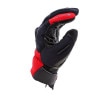 Dainese_Thunder_Gore-Tex_Gloves-Black-Red_thumb_519745.jpg