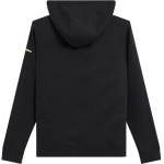 alpinestars_casual-wear_gilded-hoodie_black-gold_detail1.jpg