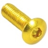 bike-it_screen-bolt_gold.jpg