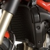 r-ang-g_radiator-guard-upper_ducati_848-streetfighter_2012.jpg