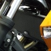 r-ang-g_radiator-guard_kawasaki_er6n-f_09-11_versys-650_10-12.jpg