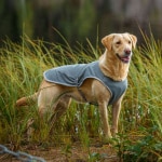 rukka-pets_garment_cooling-vest_grey_detail1.jpg