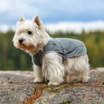 rukka-pets_garment_cooling-vest_grey_detail2.jpg