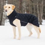 rukka-pets_garment_flow-jacket_black_lifestyle1.jpg